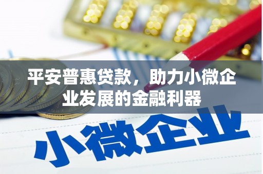 兴宾平安普惠贷款，助力小微企业发展的金融利器