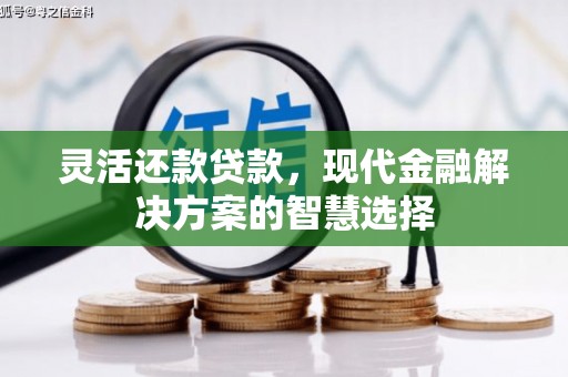兴宾灵活还款贷款，现代金融解决方案的智慧选择