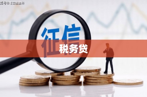 兴宾税务贷