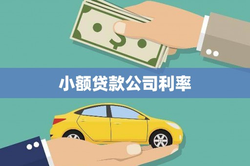 兴宾小额贷款公司利率