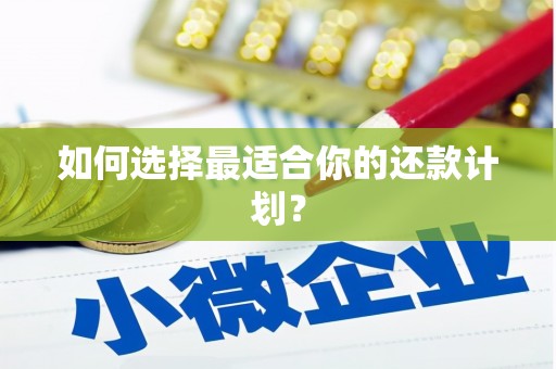 兴宾如何选择最适合你的还款计划？