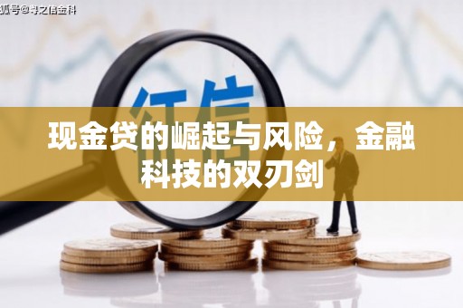 兴宾现金贷的崛起与风险，金融科技的双刃剑