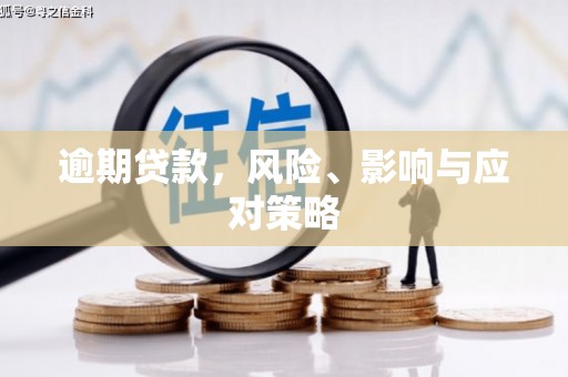 兴宾逾期贷款，风险、影响与应对策略