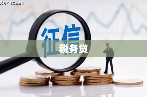 兴宾税务贷