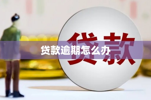 兴宾贷款逾期怎么办
