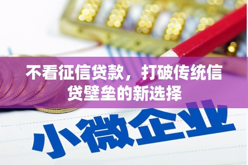 兴宾不看征信贷款，打破传统信贷壁垒的新选择