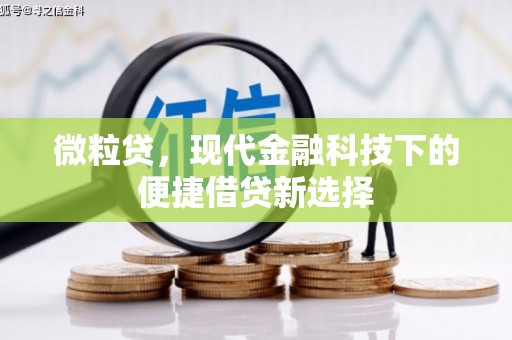 兴宾微粒贷，现代金融科技下的便捷借贷新选择