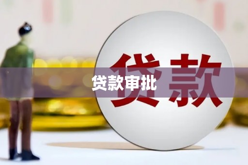 兴宾贷款审批