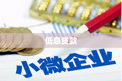 兴宾低息贷款