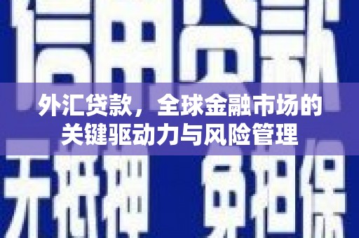 兴宾外汇贷款，全球金融市场的关键驱动力与风险管理