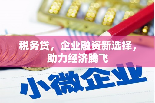兴宾税务贷，企业融资新选择，助力经济腾飞