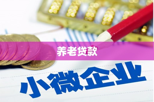 兴宾养老贷款