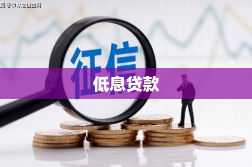 兴宾低息贷款