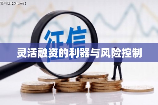 兴宾灵活融资的利器与风险控制