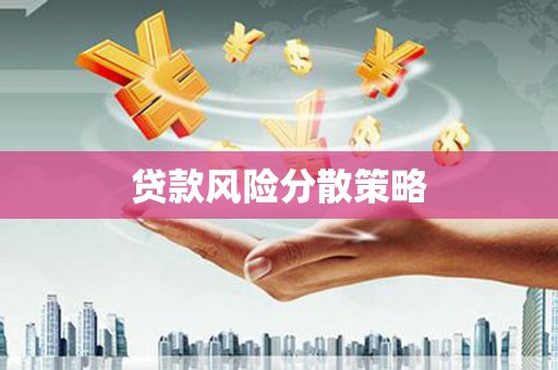 兴宾贷款风险分散策略