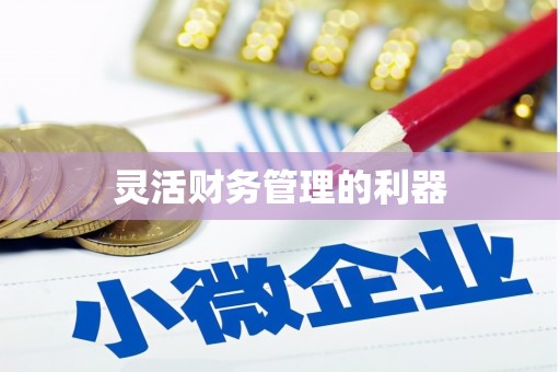 兴宾灵活财务管理的利器