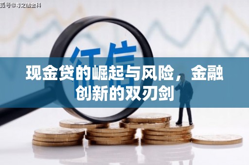 兴宾现金贷的崛起与风险，金融创新的双刃剑