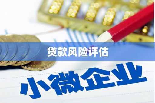 兴宾贷款风险评估