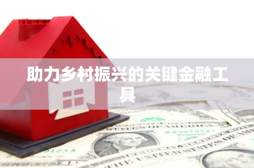兴宾助力乡村振兴的关键金融工具