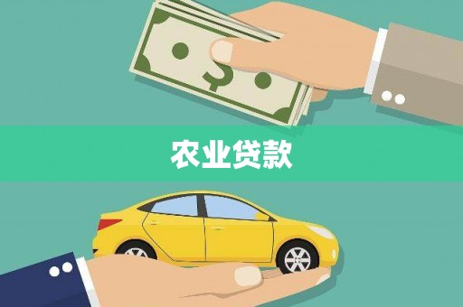 兴宾农业贷款
