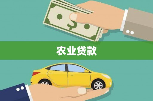 兴宾农业贷款
