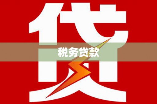兴宾税务贷款