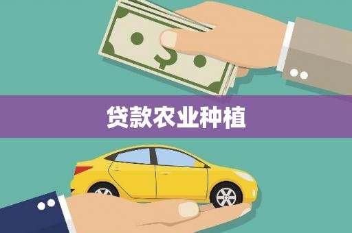 兴宾贷款农业种植