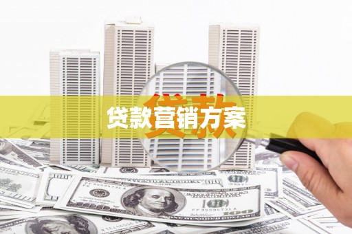 兴宾贷款营销方案