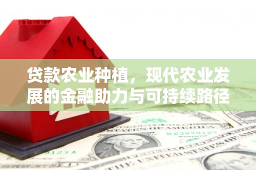 兴宾贷款农业种植，现代农业发展的金融助力与可持续路径