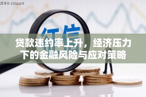 兴宾贷款违约率上升，经济压力下的金融风险与应对策略
