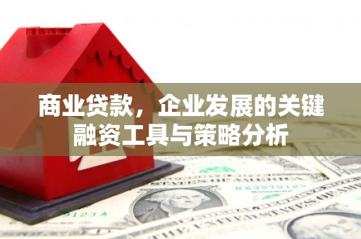 兴宾商业贷款，企业发展的关键融资工具与策略分析