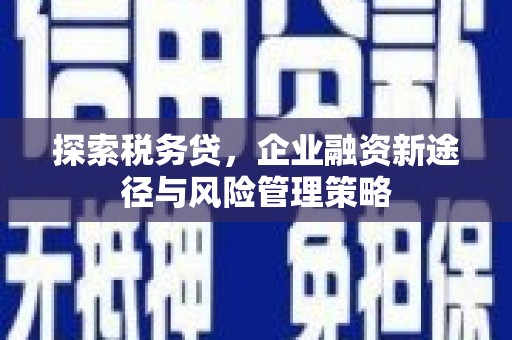 兴宾探索税务贷，企业融资新途径与风险管理策略