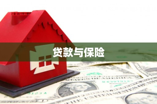 兴宾贷款与保险