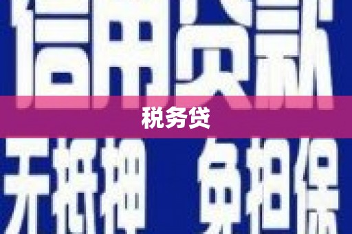 兴宾税务贷