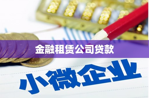 兴宾金融租赁公司贷款