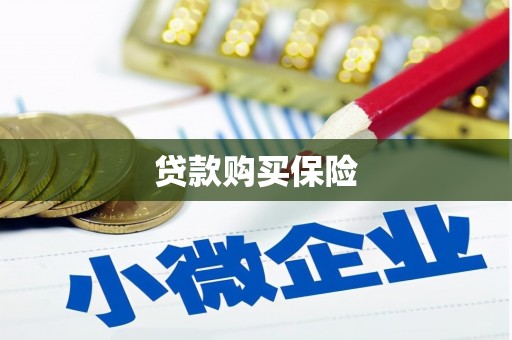 兴宾贷款购买保险