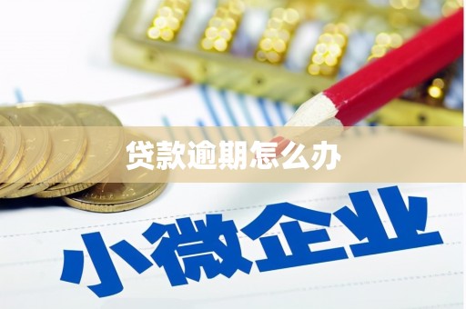 兴宾贷款逾期怎么办
