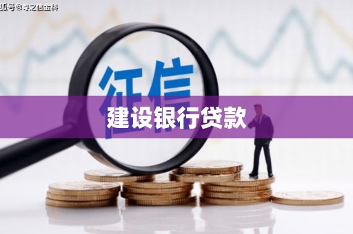兴宾建设银行贷款