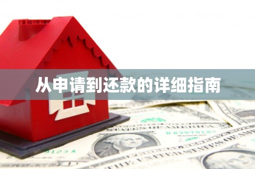 兴宾从申请到还款的详细指南