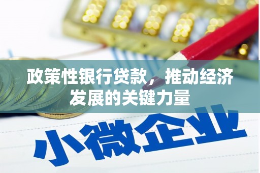 兴宾政策性银行贷款，推动经济发展的关键力量