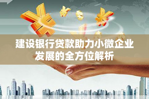兴宾建设银行贷款助力小微企业发展的全方位解析