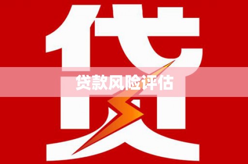 兴宾贷款风险评估