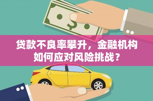 兴宾贷款不良率攀升，金融机构如何应对风险挑战？