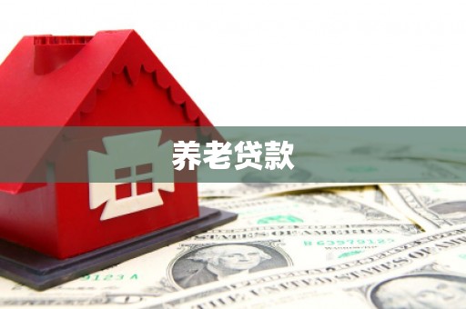 兴宾养老贷款