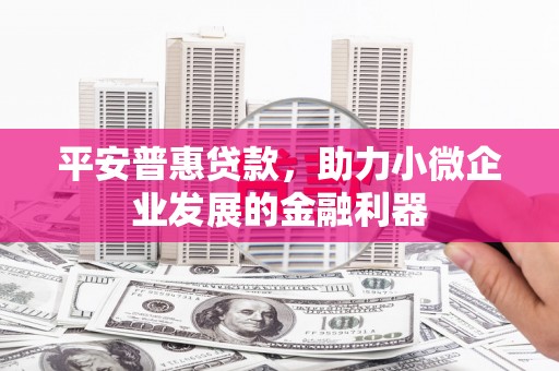 兴宾平安普惠贷款，助力小微企业发展的金融利器