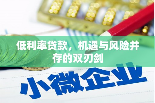 兴宾低利率贷款，机遇与风险并存的双刃剑