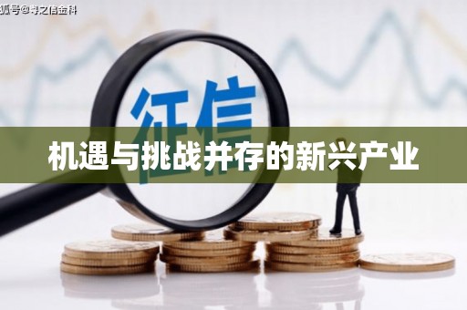 兴宾机遇与挑战并存的新兴产业