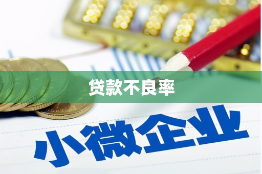 兴宾贷款不良率