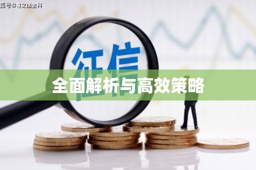 兴宾全面解析与高效策略