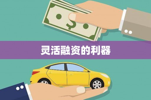 兴宾灵活融资的利器